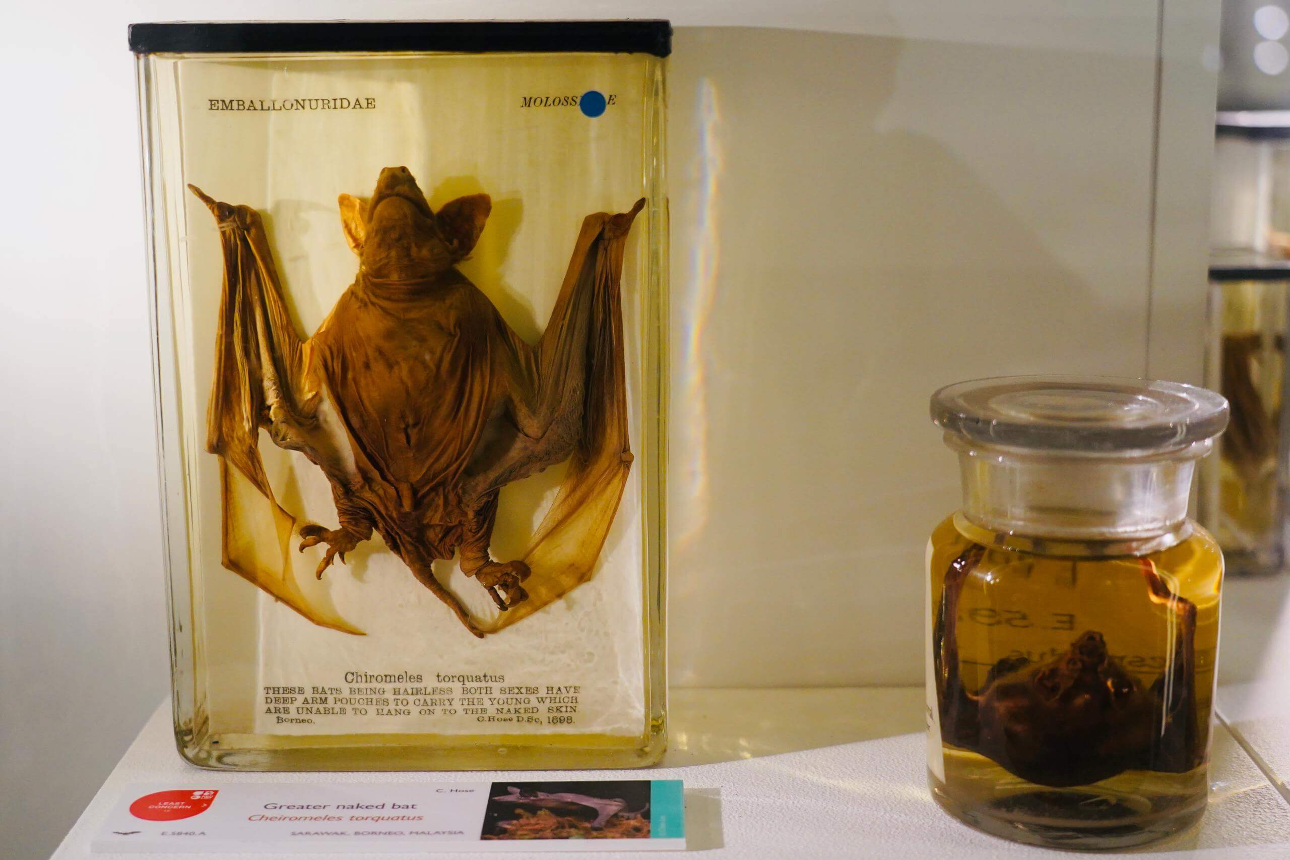 Better Rates with Online Booking