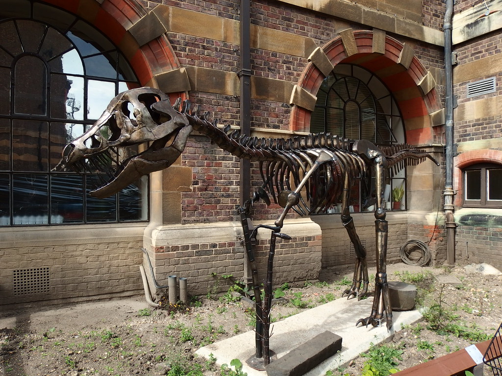 Sedgwick Museum of Earth Sciences