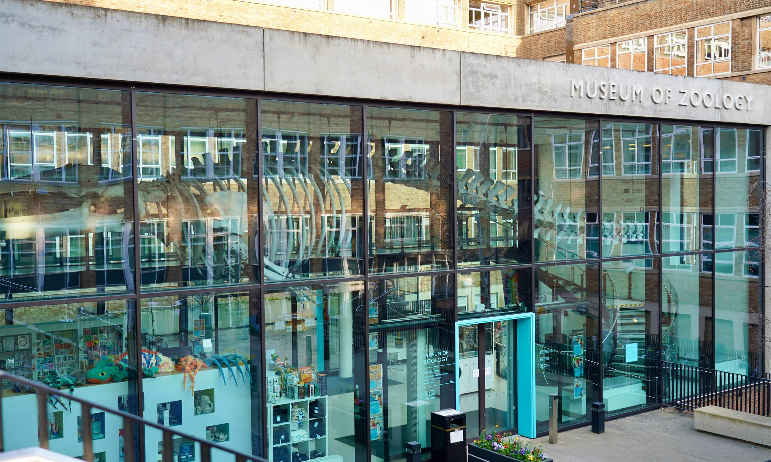 Zoology Musuem Guided Tour