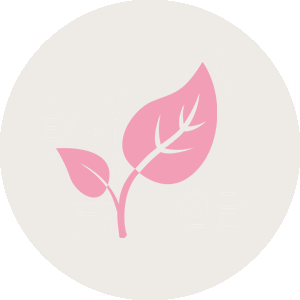 Origins of Human Civilisation