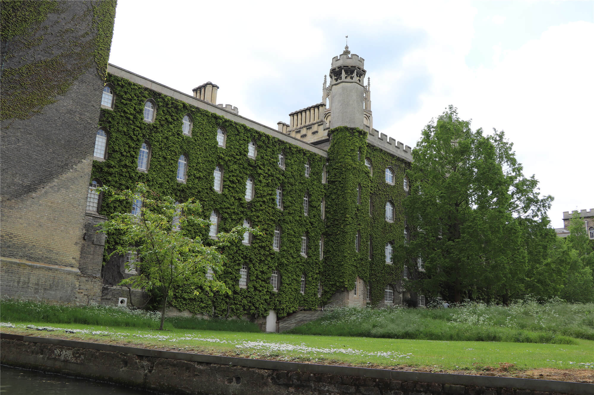 St John’s College – The Red Ivy (Virginia Creeper)